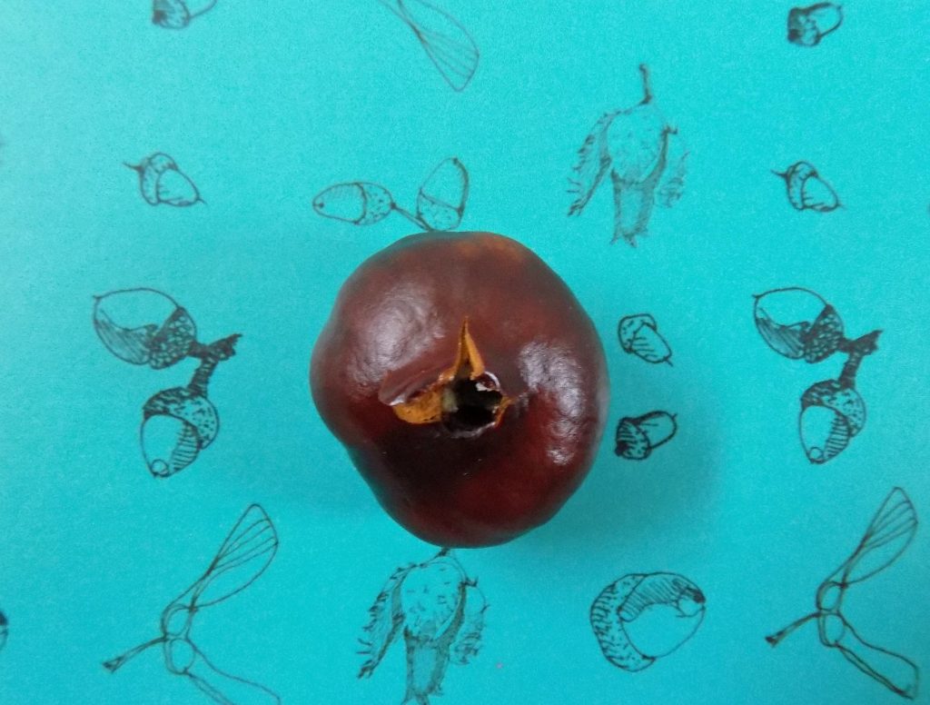 chestnuts-diy