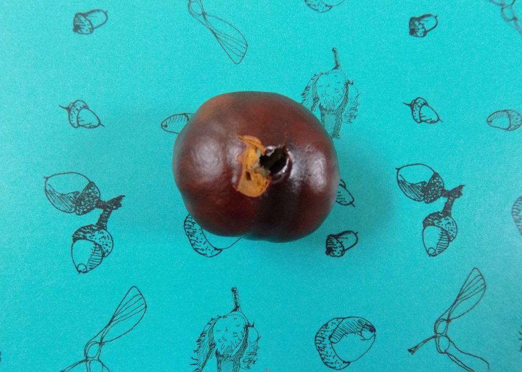 chestnuts-diy-1